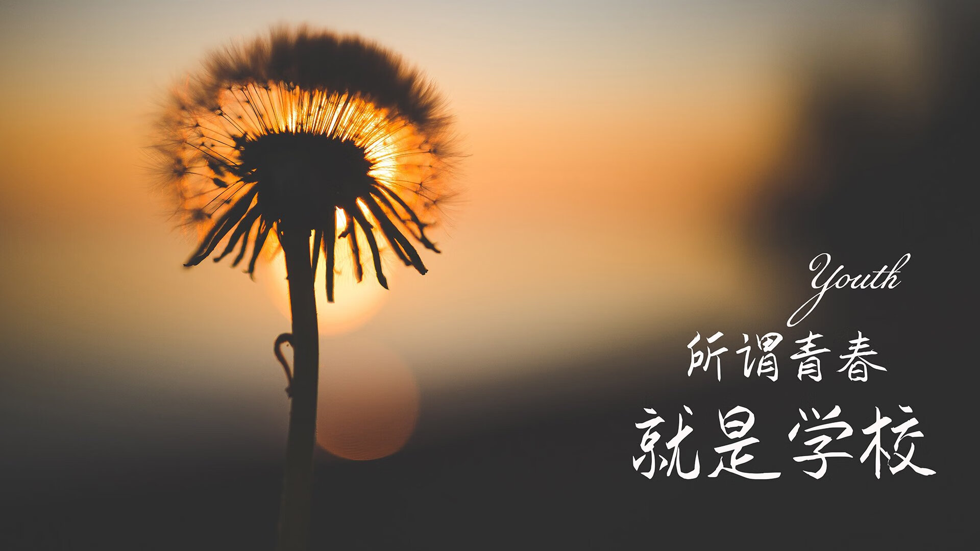 赛道与球场的双重奏,当F1年度争冠白热化,热火如何冲垮开拓者?