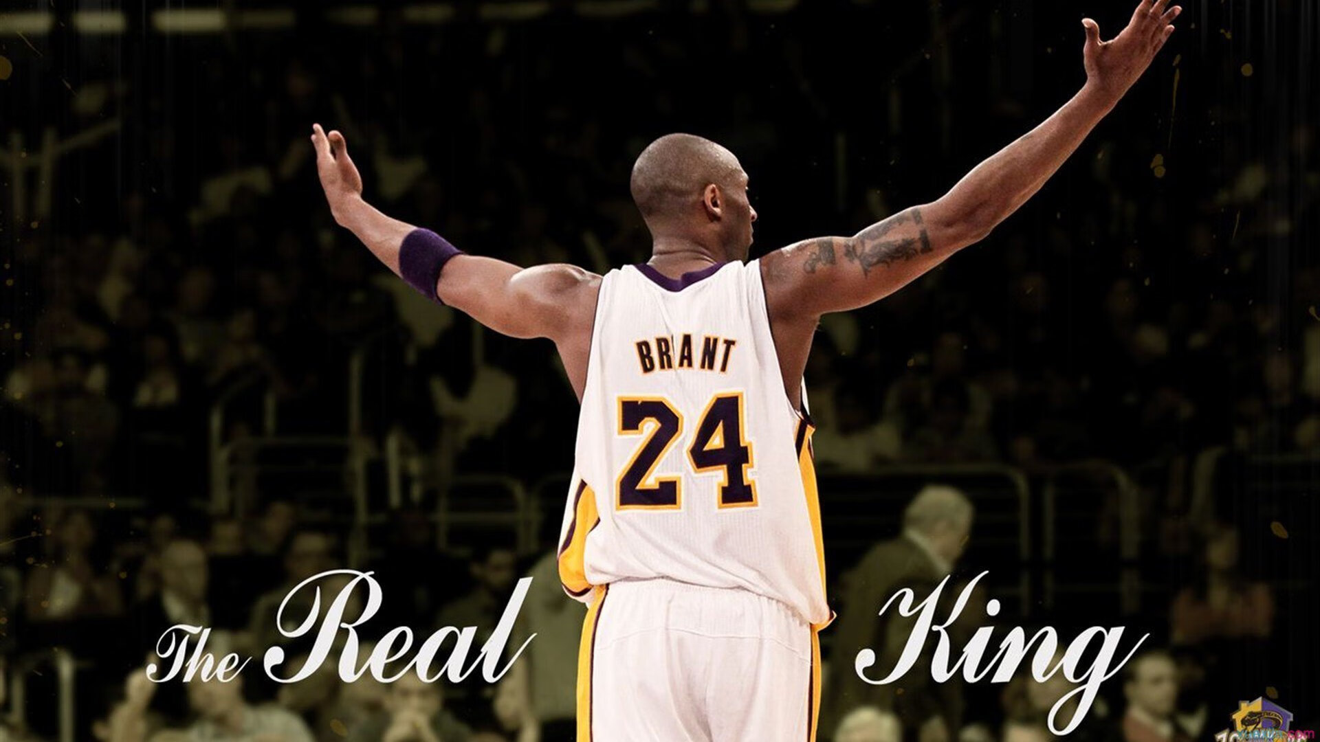 周冠宇的统治时刻，梅赛德斯完胜哈斯，一场技术与意志的完美交响